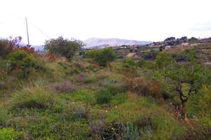 Terreno vendita in Benissa, Alicante. 
