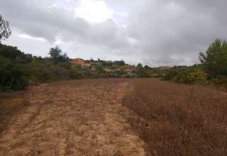 Terres agricoles vendre en Benissa, Alicante. 