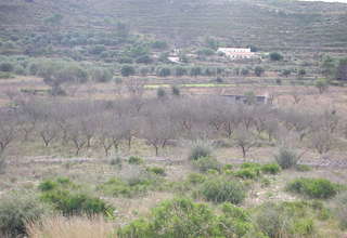 Landdistrikter / landbrugsjord til salg i Alcalalí, Alicante. 
