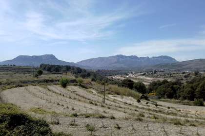 农业用地 出售 进入 Benissa, Alicante. 